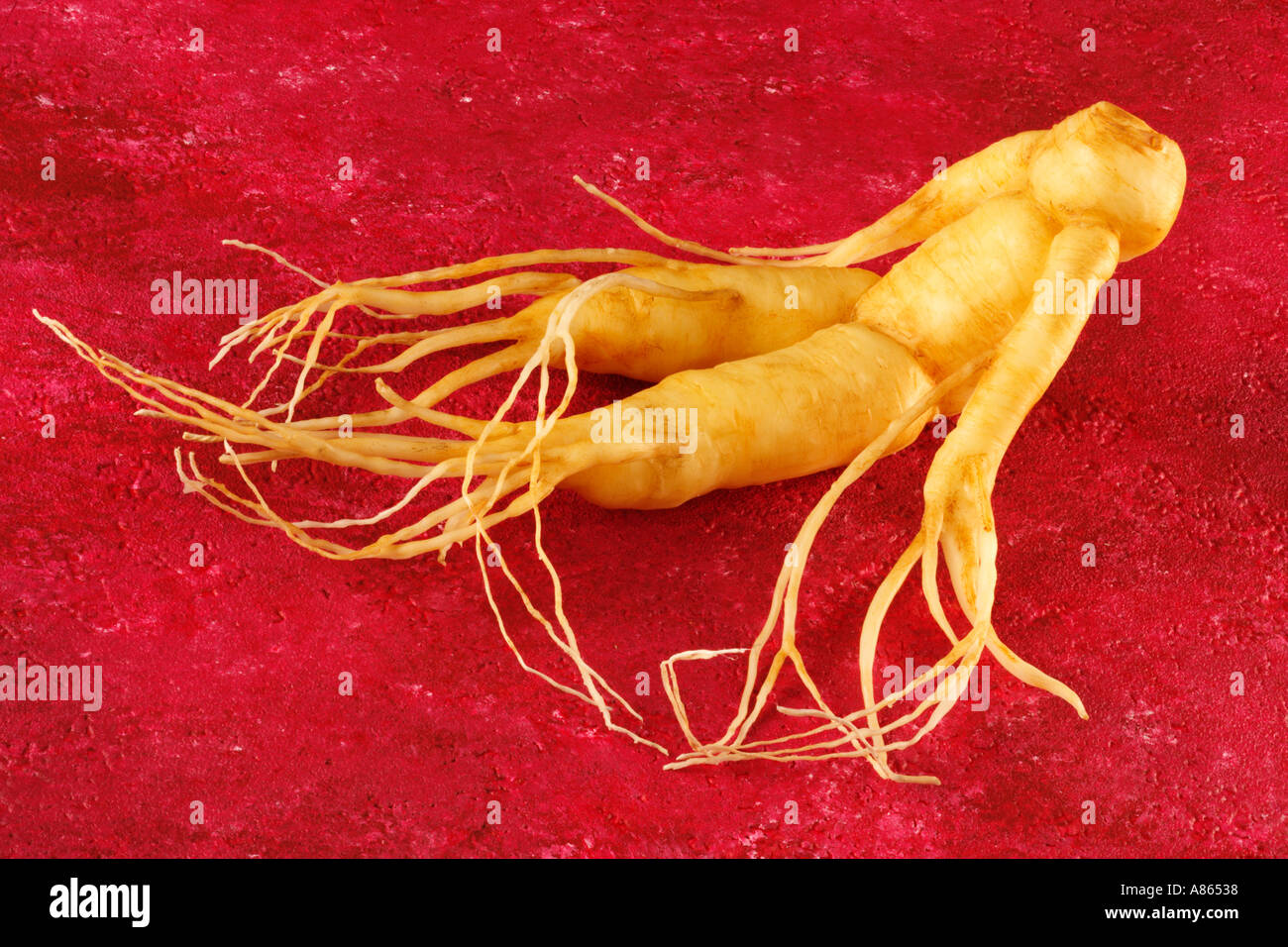 Как выглядит корень жизни Ginseng root hi-res stock photography and images - Alamy