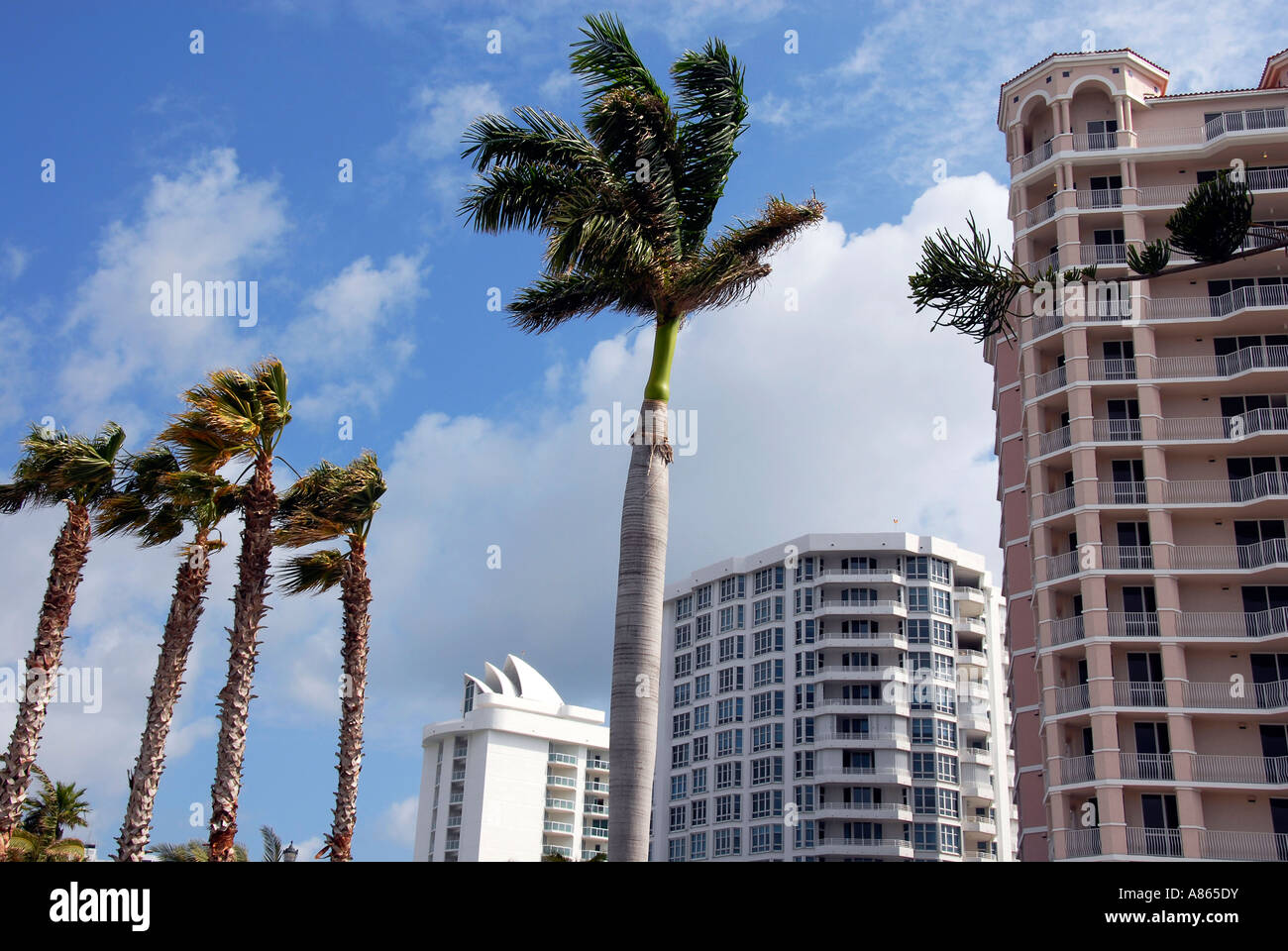 Picture of High rise condominium buildings Stock Photo - Alamy