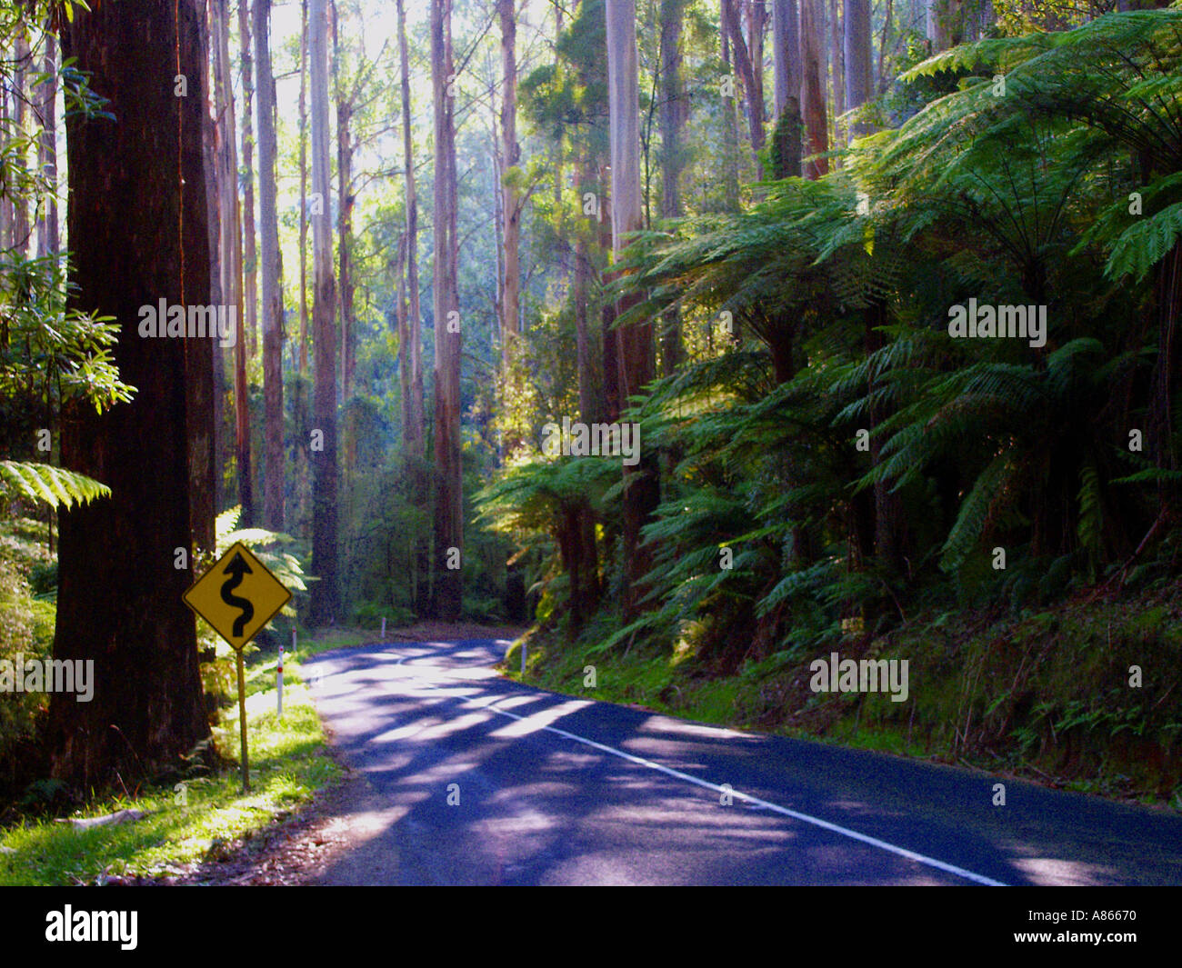 Sharp turns road sign Stock Photo Alamy