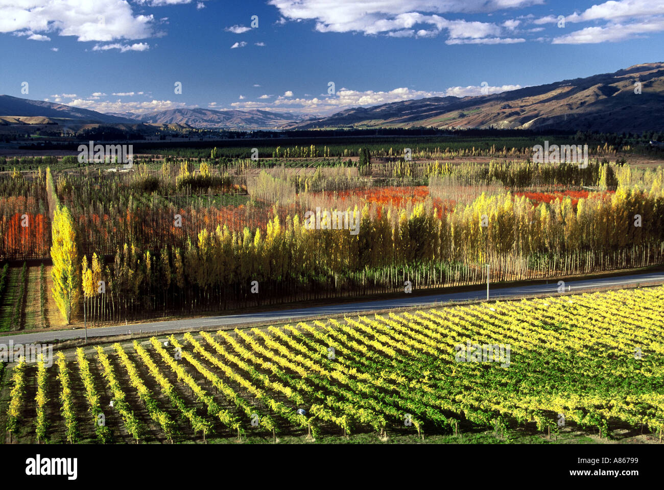 Difficulty wines new zealand hi-res stock photography and images - Alamy