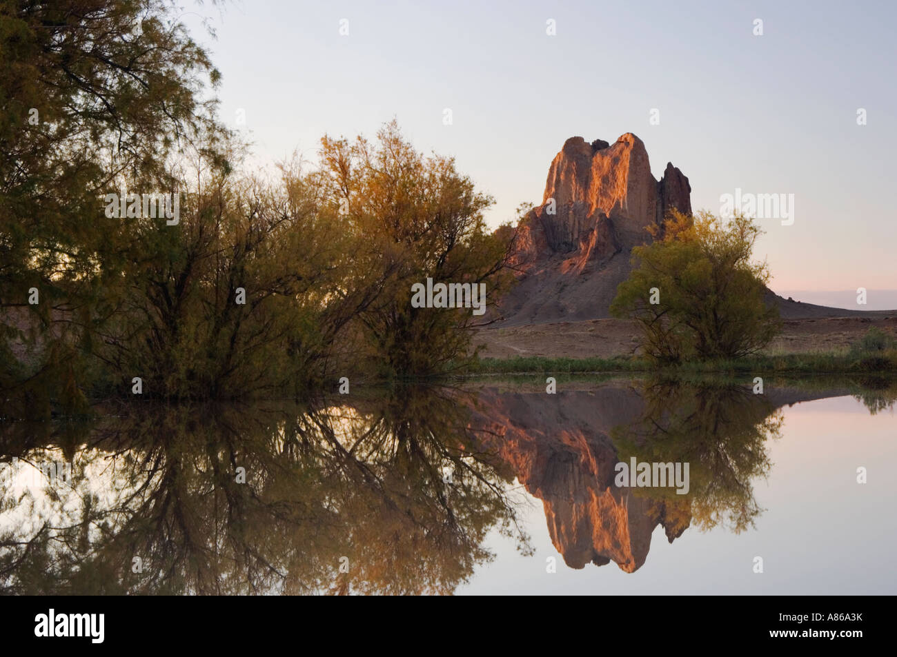 Rocks reflecting in pond with Salt Cedars at sunrise Shiprock Navajo Indian Reserve New Mexico USA September 2006 Stock Photo