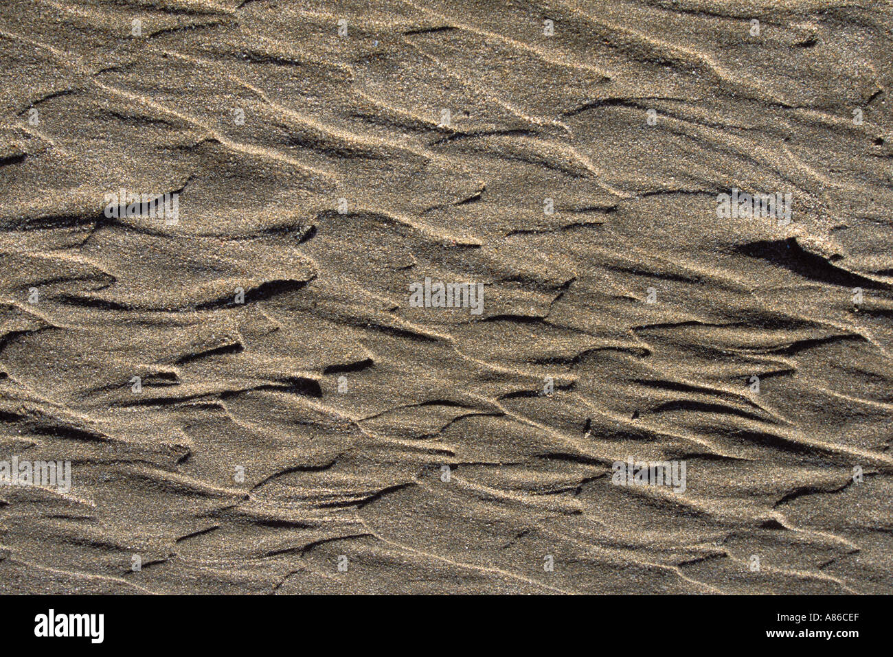 Sandy shore patterns Stock Photo