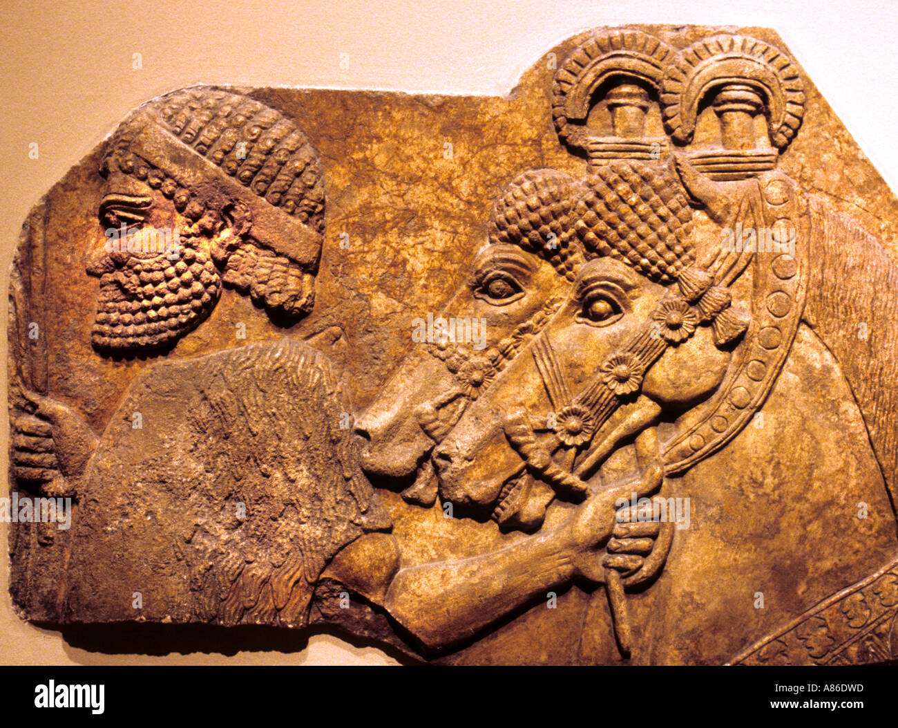 Khorsabad or Dar Sharrukin is the 4th capital of the Kingdom of Assyria Assyrian King Sargon II 722 - 705 BC Stock Photo