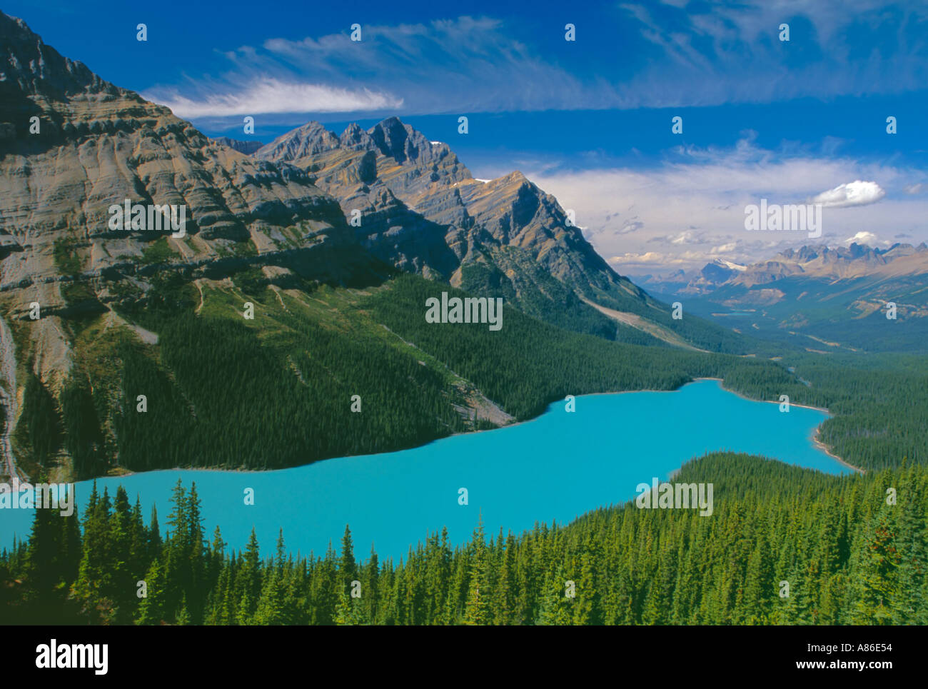 Peyto Lake Banff National Park Alberta Canada Stock Photo - Alamy