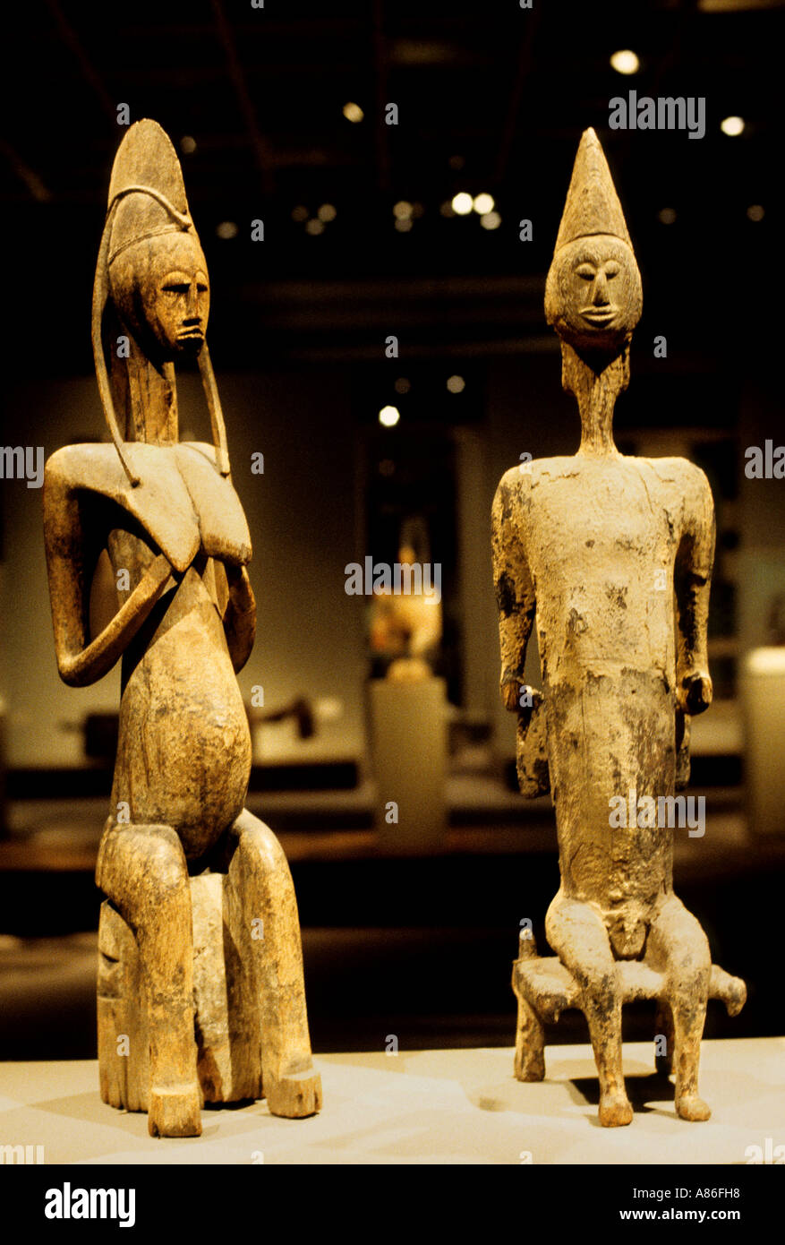 Museum Art  Senufo Ivory Coast Africa African Stock Photo