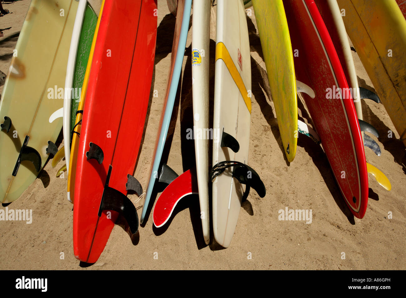 Surfboards placed to store Stock Photo Alamy