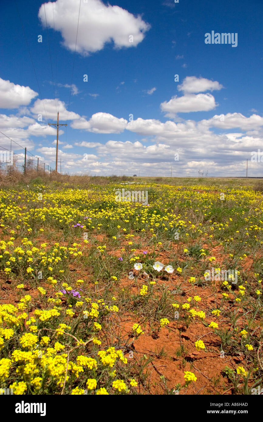 Artesia New Mexico High Resolution Stock Photography And Images Alamy Artesia New Mexico High Resolution Stock Photography And Images Alamy