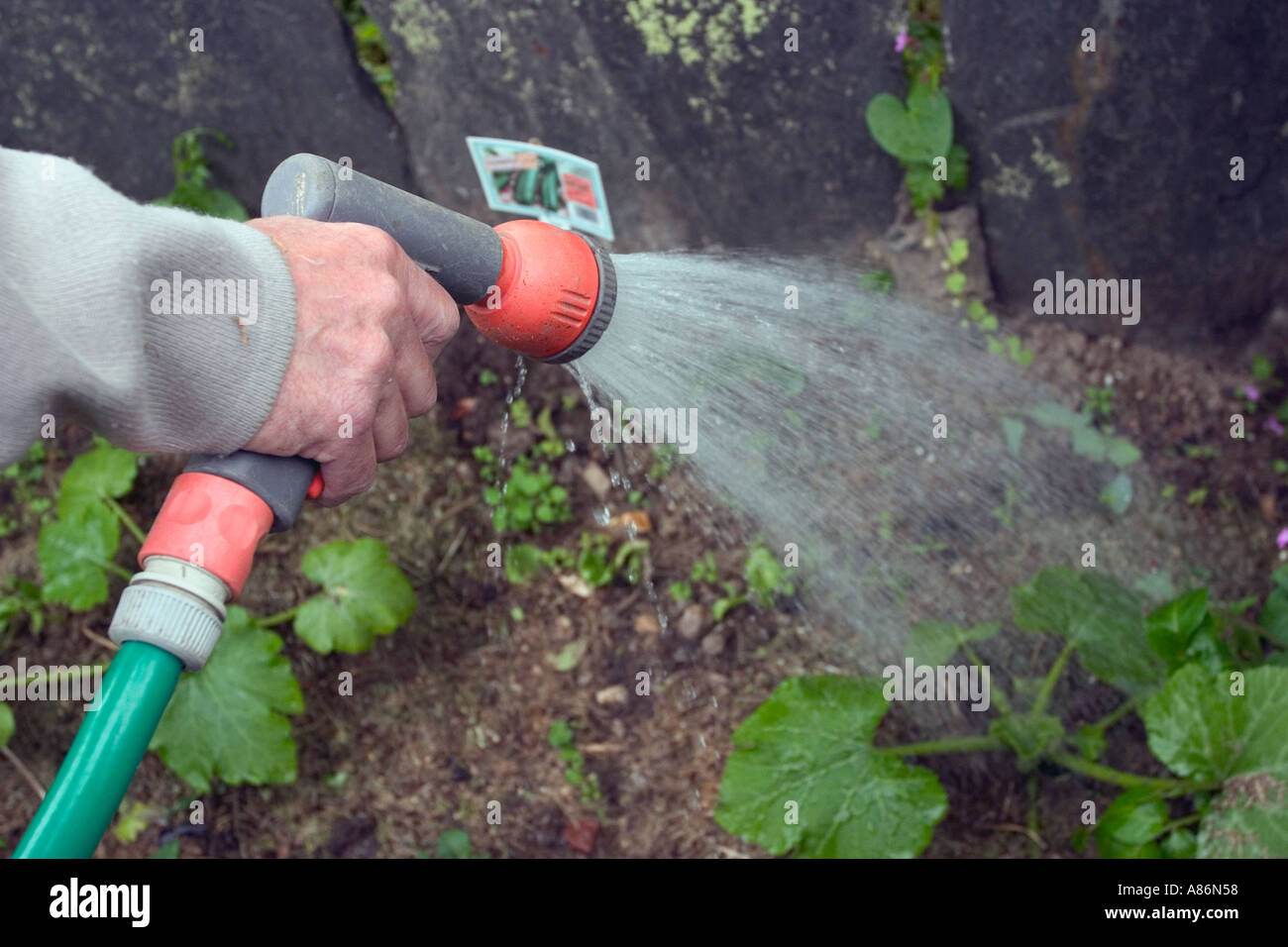 Hand Spraying a Garden Hose Stock Photo Alamy