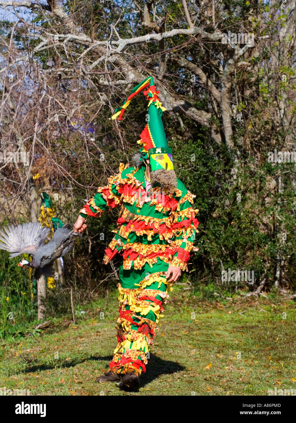 Cajun Mardi Gras. Chicken caught during Courir de Mardi Gras Stock ...