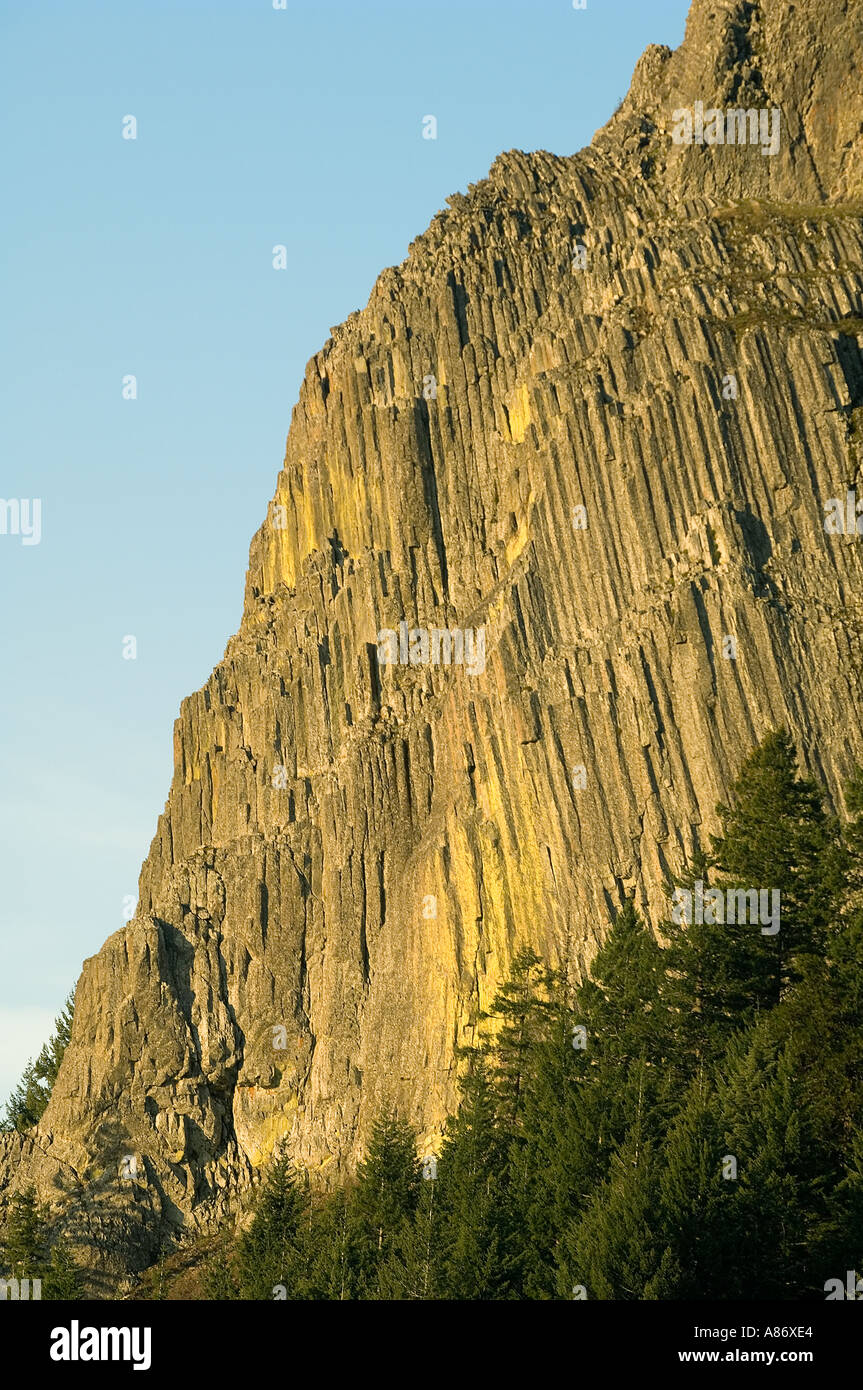 Pilot Rock, 5908 feet old, volcanic plug rises about conifer forest