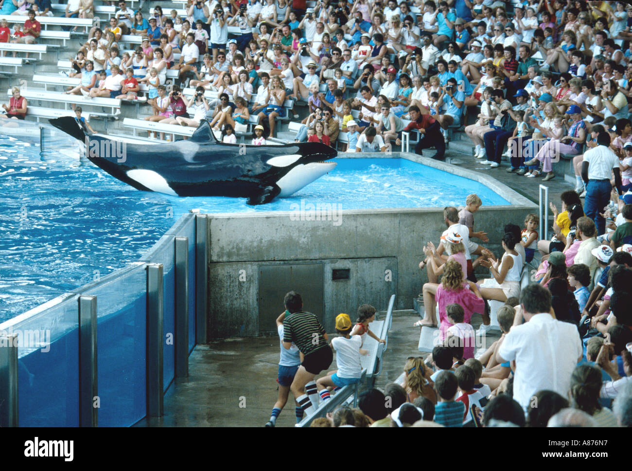 Orca Stadium Orca Stadium High Resolution Stock Photography and Images - Alamy