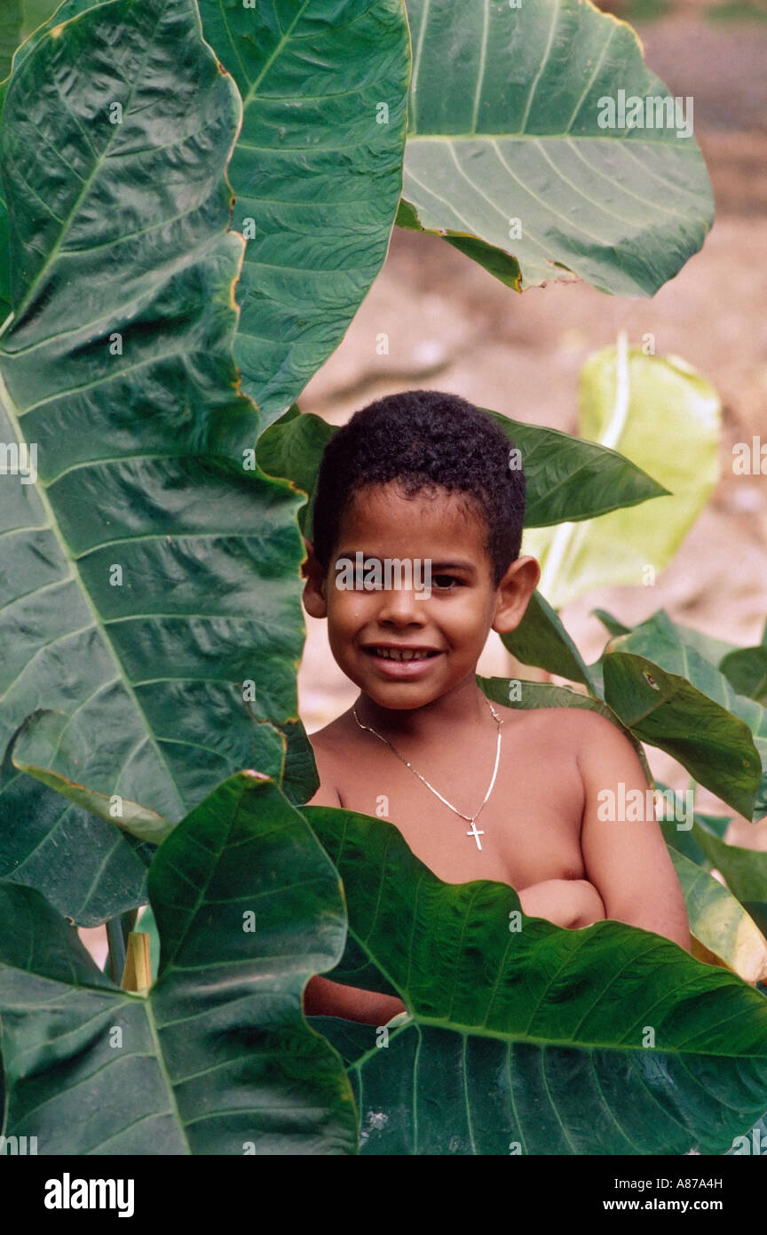 Dominican boy posing in a banana orchard near La Vega Dominican