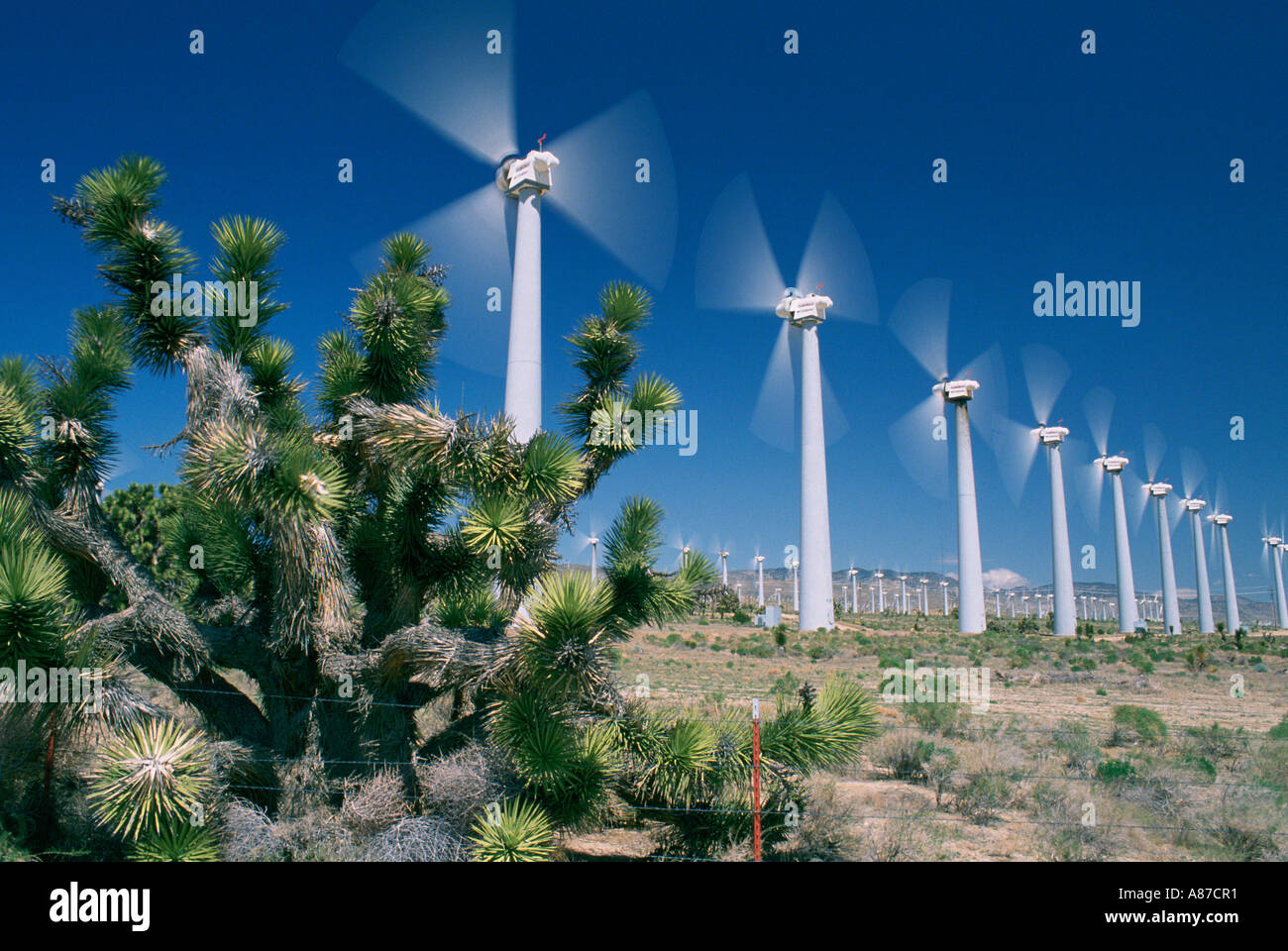A multitude of wind turbines taken in Mojave California Stock Photo Alamy