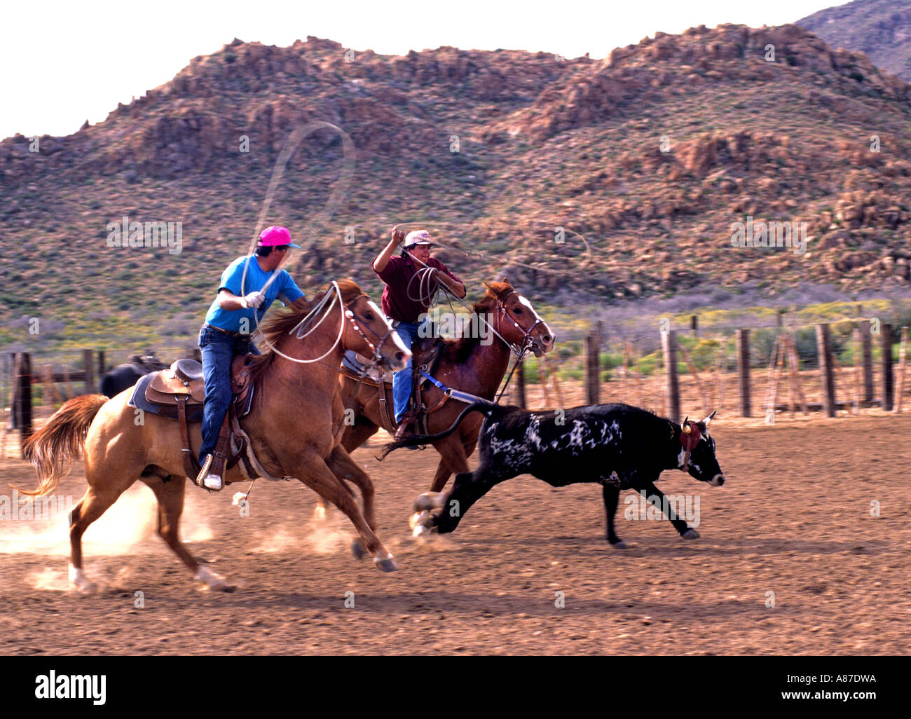 Santa Fe New Mexico rodeo new mexico horse bull indian cowboy Stock