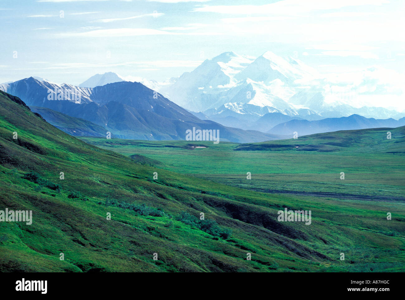 View of Denali National Park, Alaska Stock Photo