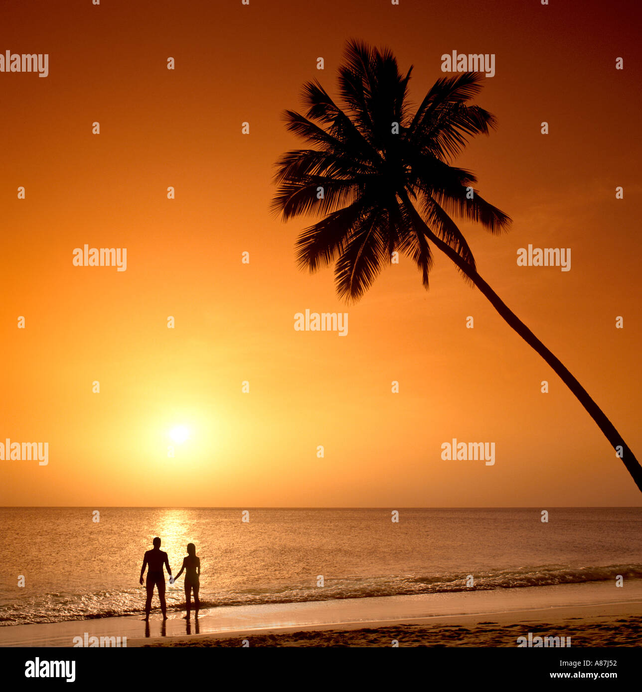 Silhouette of a couple holding hands on beach at sunset hi-res stock ...