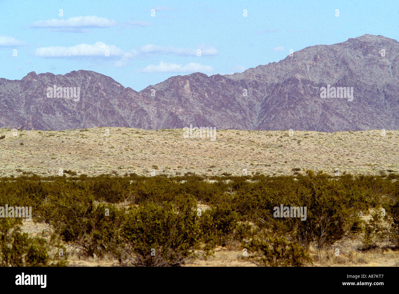 Mohawk Dunes, Barry Goldwater Air Force Range, Tacna Arizona USA March Stock Photo