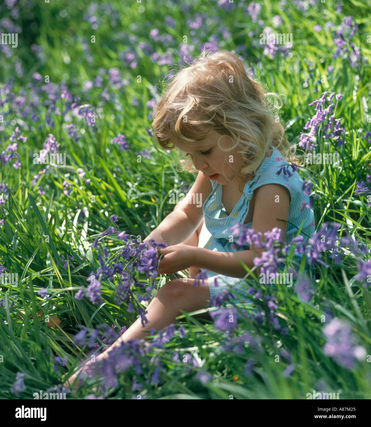 Portrait of a little Girl sitting in a bluebell wood, West Yorkshire, England, United Kingdom Stock Photo
