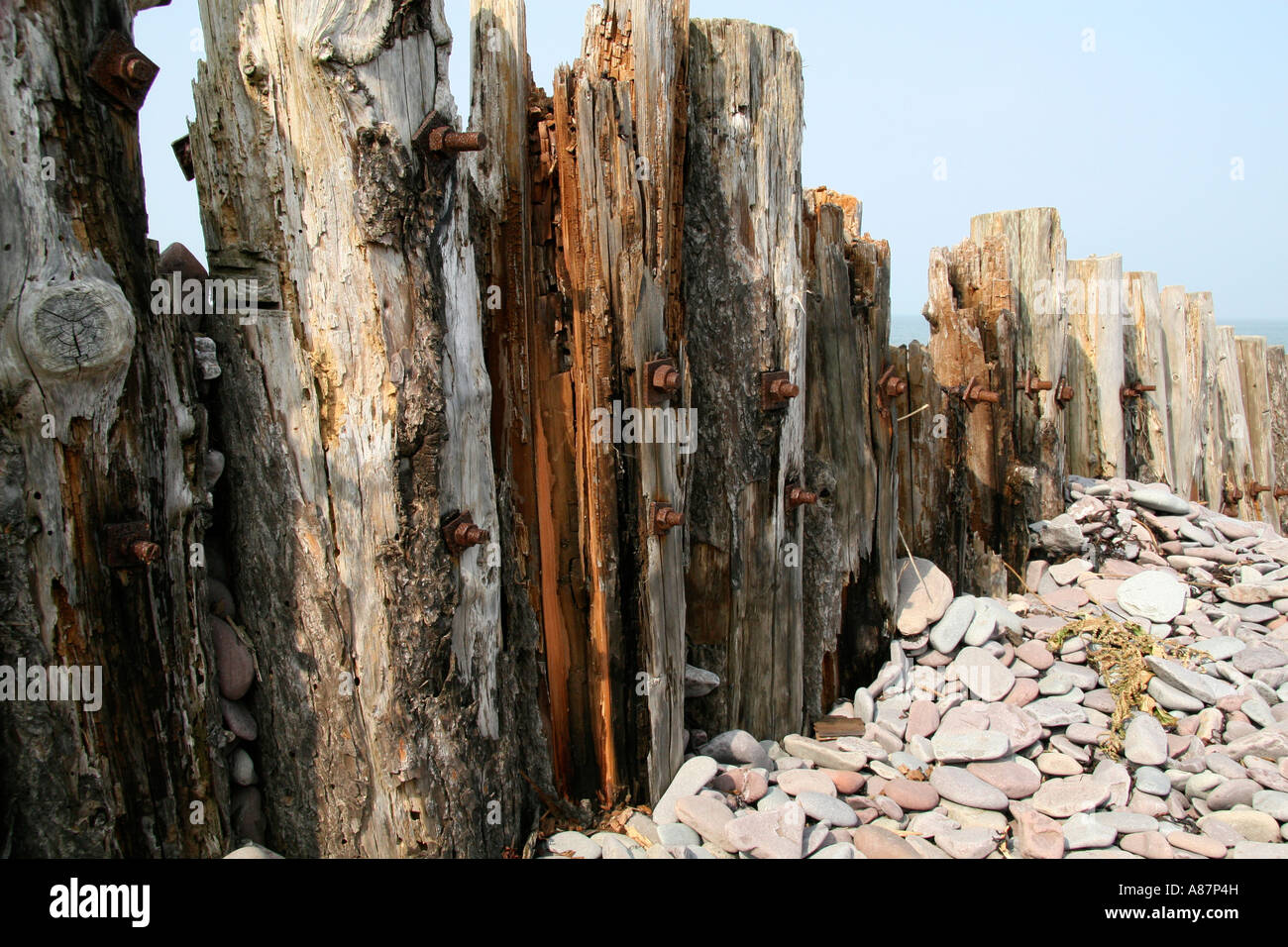 Wooden groynes on the beach at Porlock Weir Stock Photo Alamy