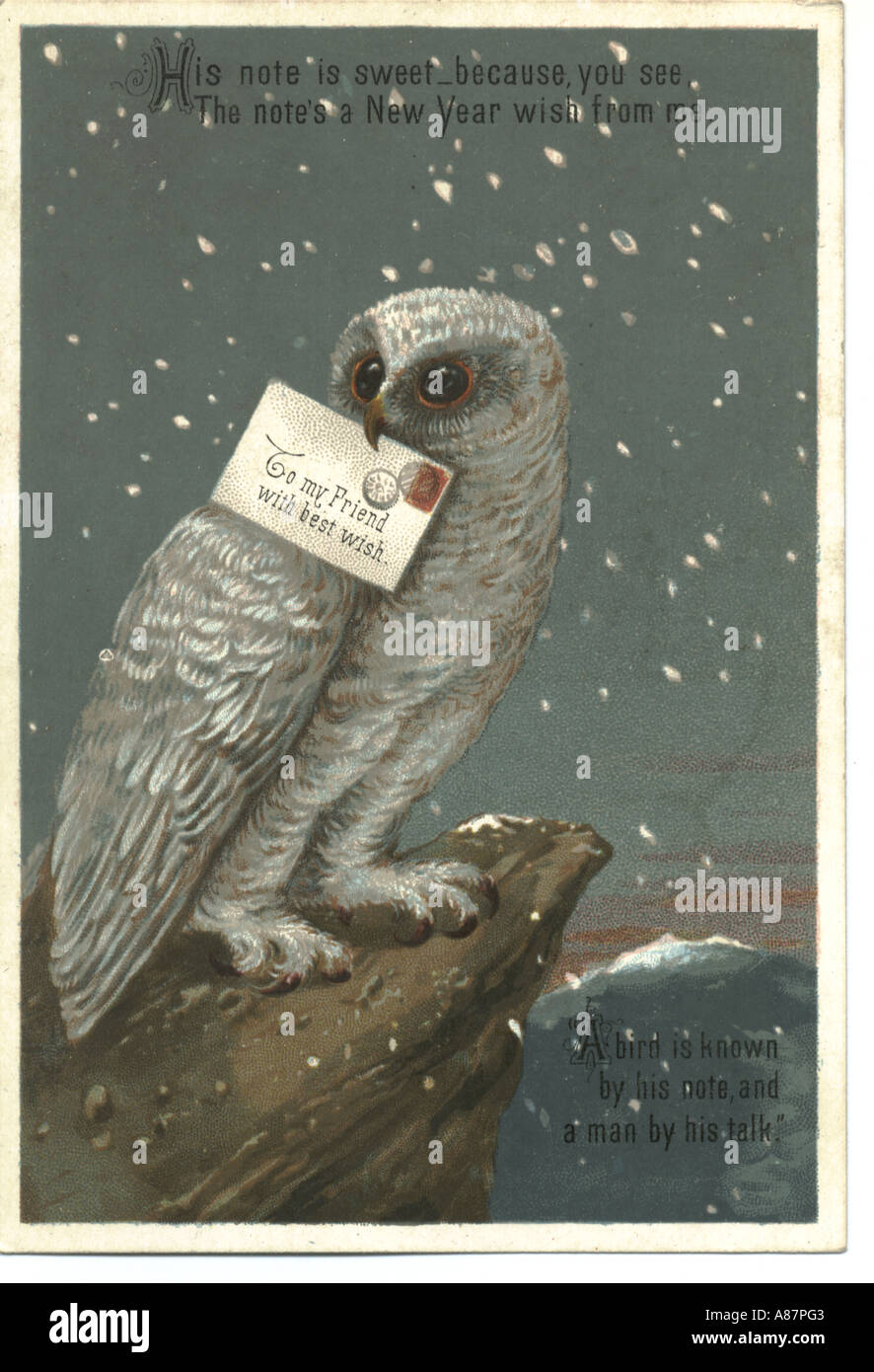 Greeting card of owl circa 1880 Stock Photo