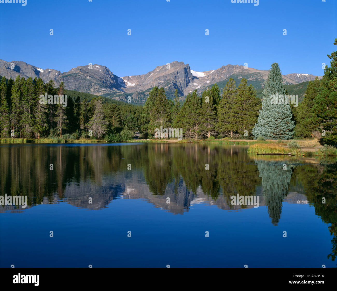 Sprague Lake Rocky Mtns reflection Stock Photo Alamy