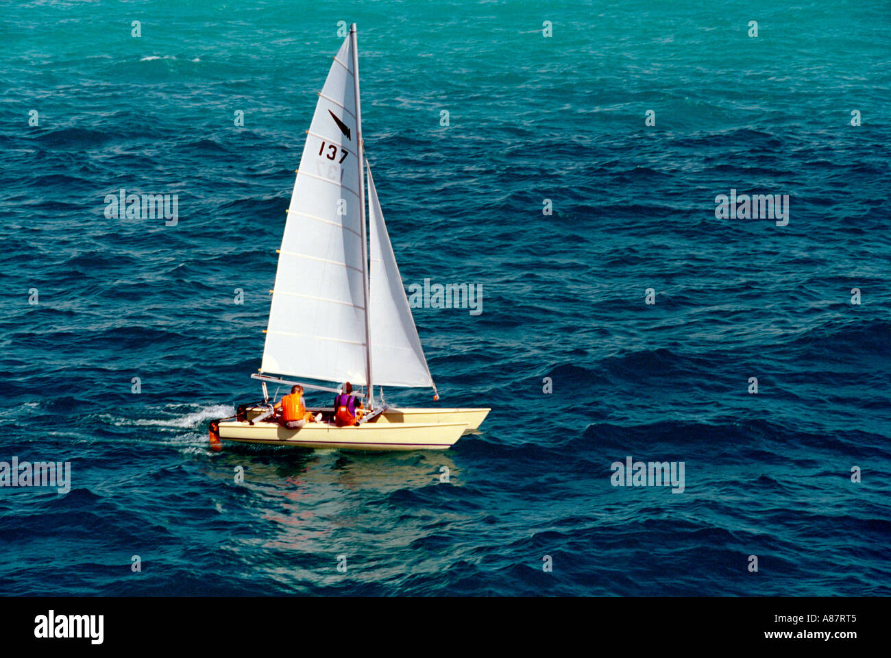 Catamaran hires stock photography and images Alamy