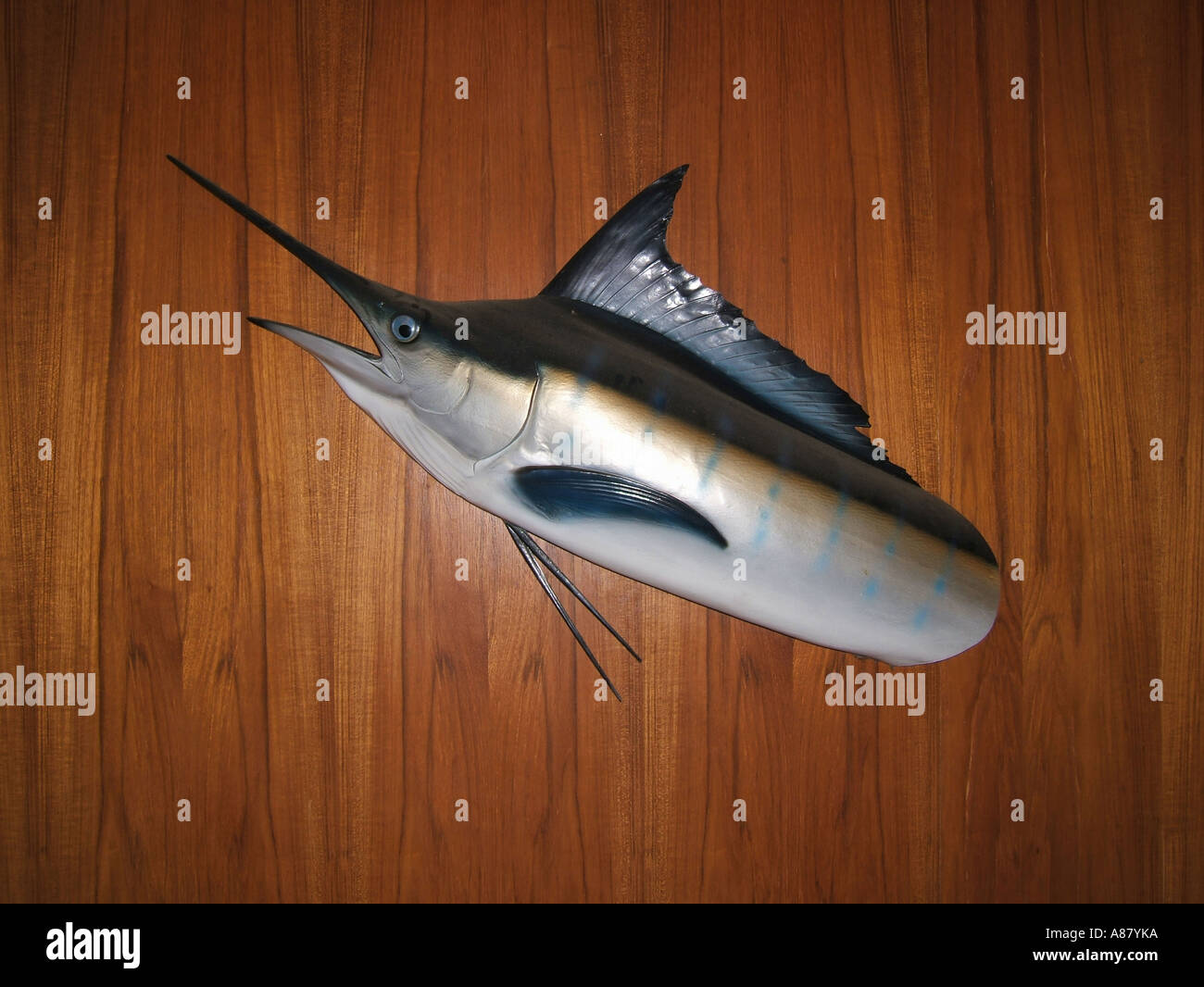 Swordfish trophy on wall Stock Photo Alamy