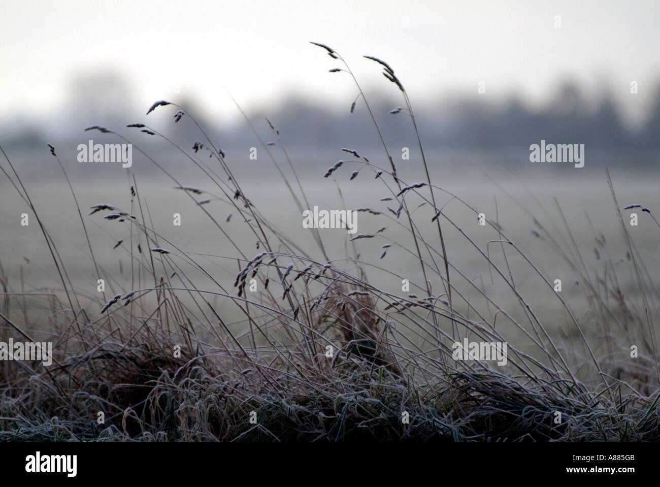Grass verge winter hi-res stock photography and images - Alamy
