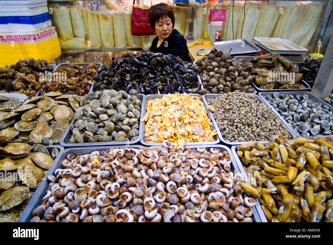 Asia China Beijing Pearl Market Shellfish Stock Photo