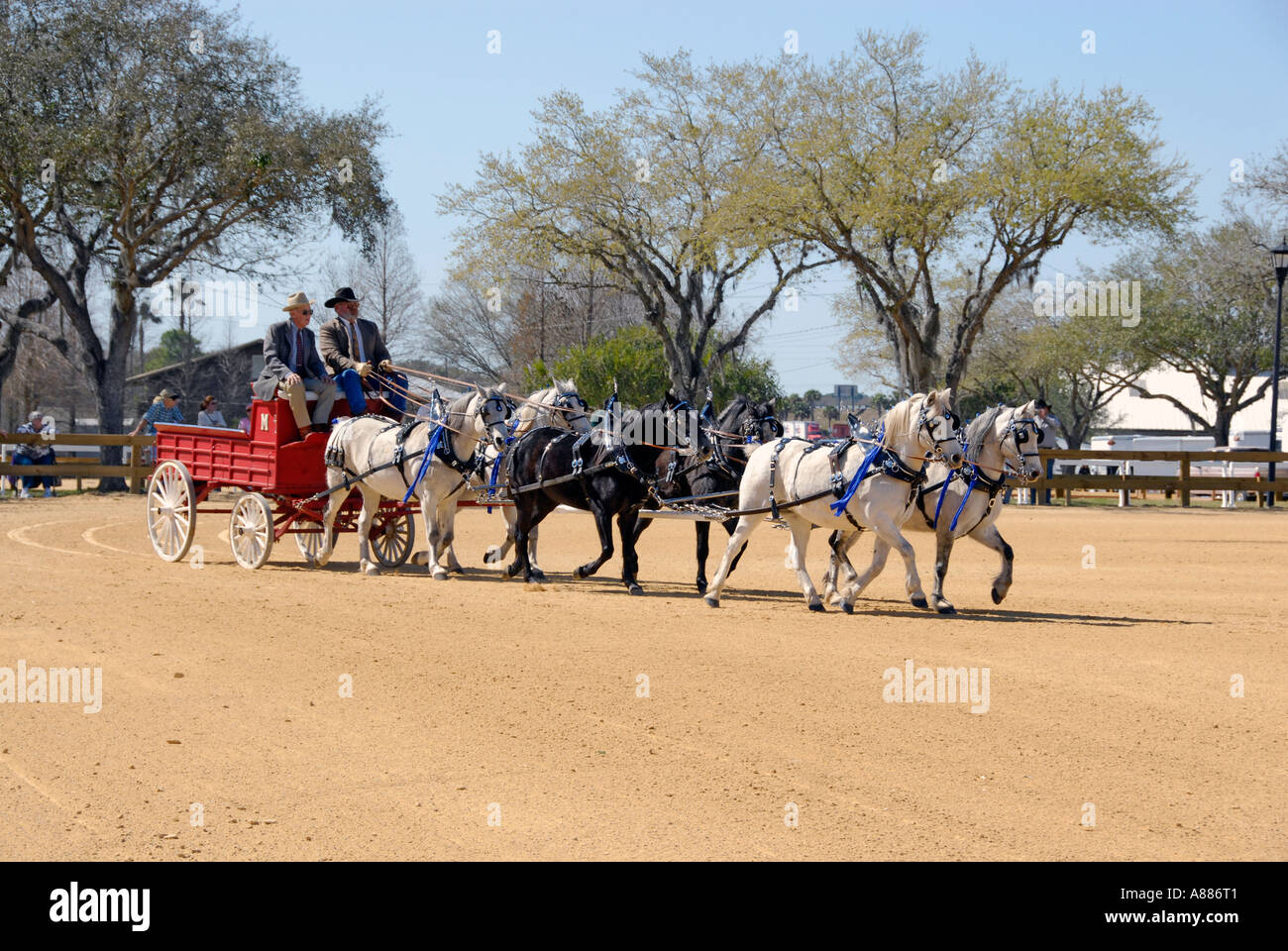 Draft Horse show features wagon pulling competition in equestrian