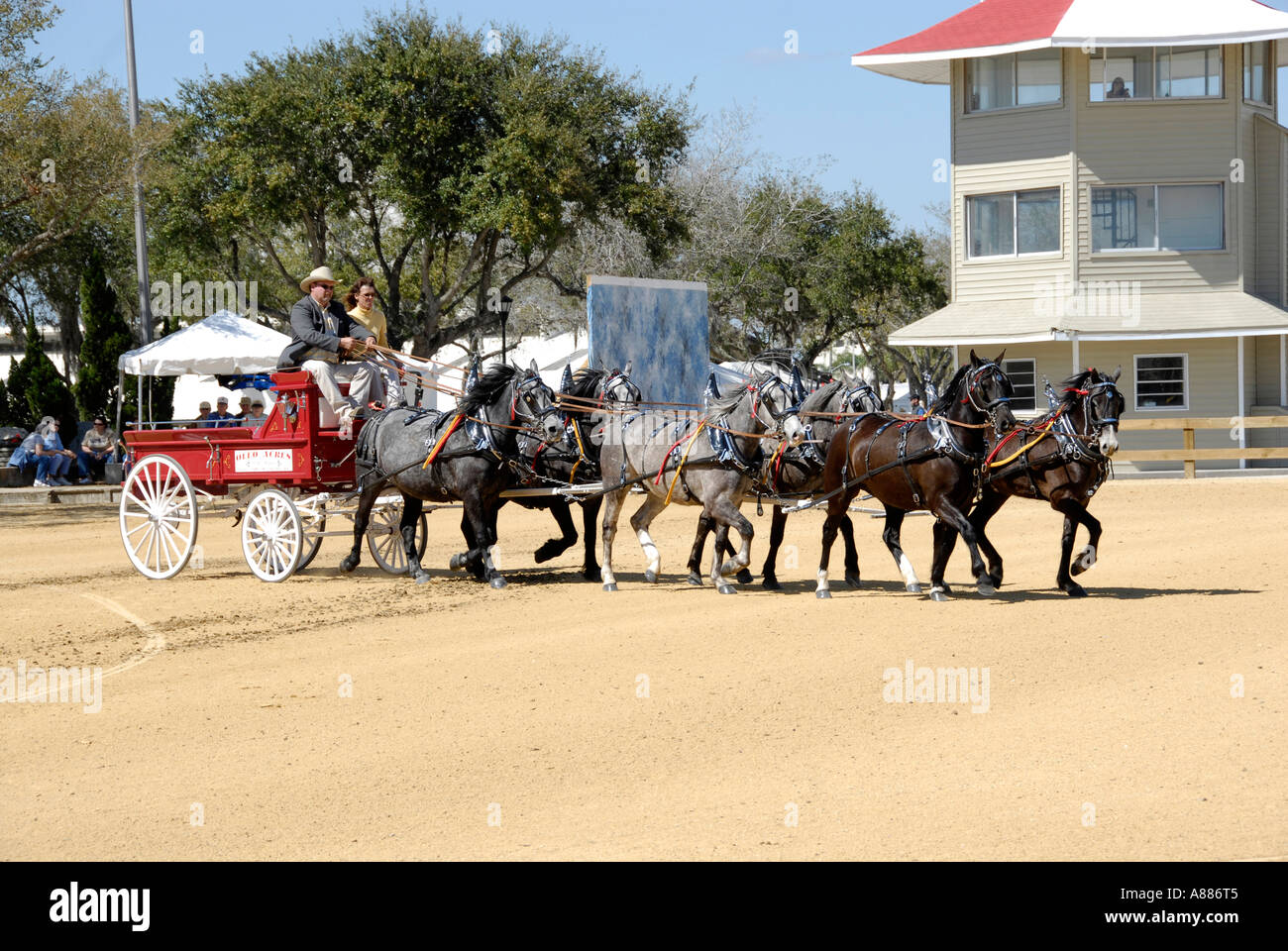 Draft Horse show features wagon pulling competition in equestrian