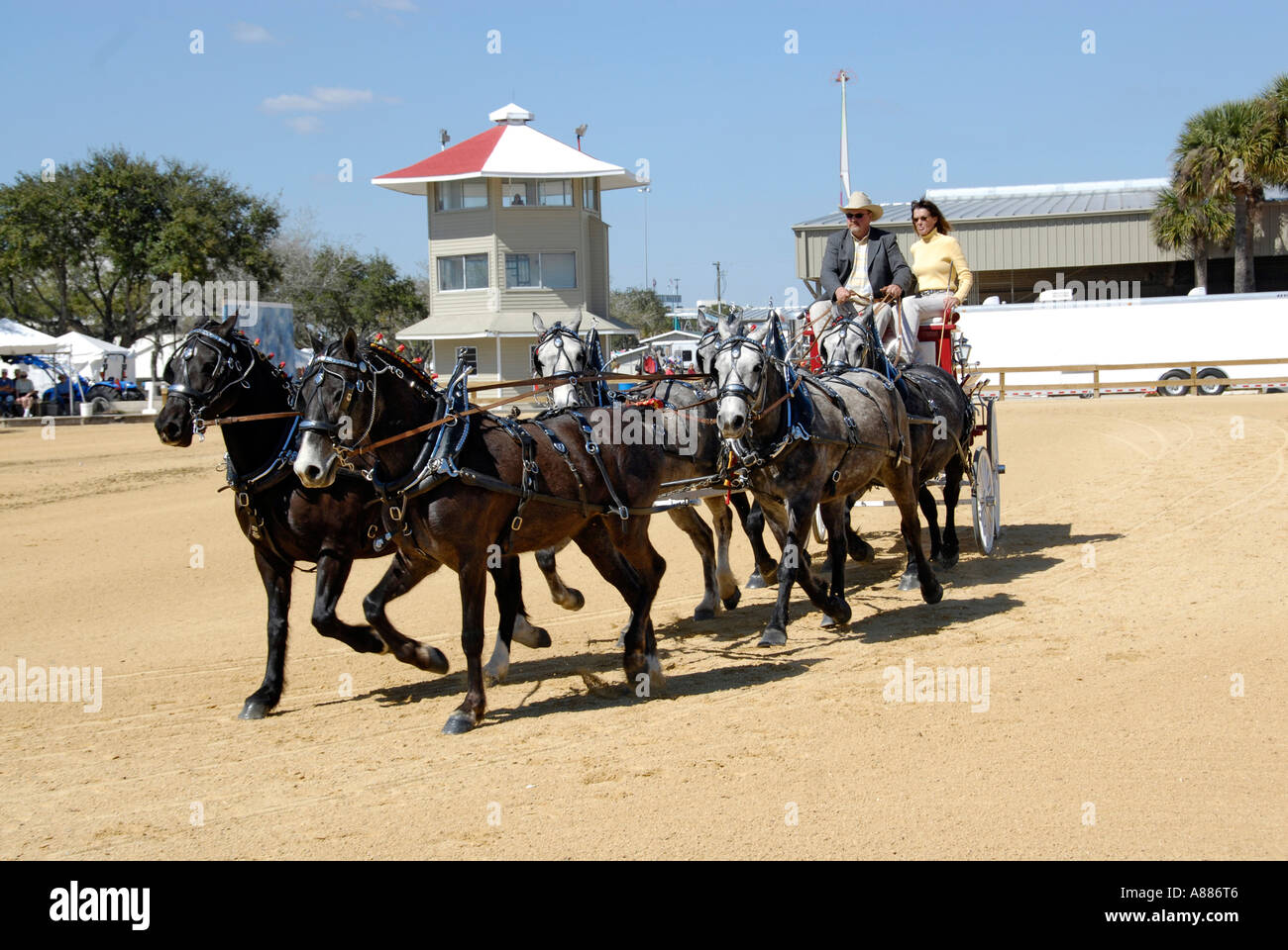 Draft Horse show features wagon pulling competition in equestrian