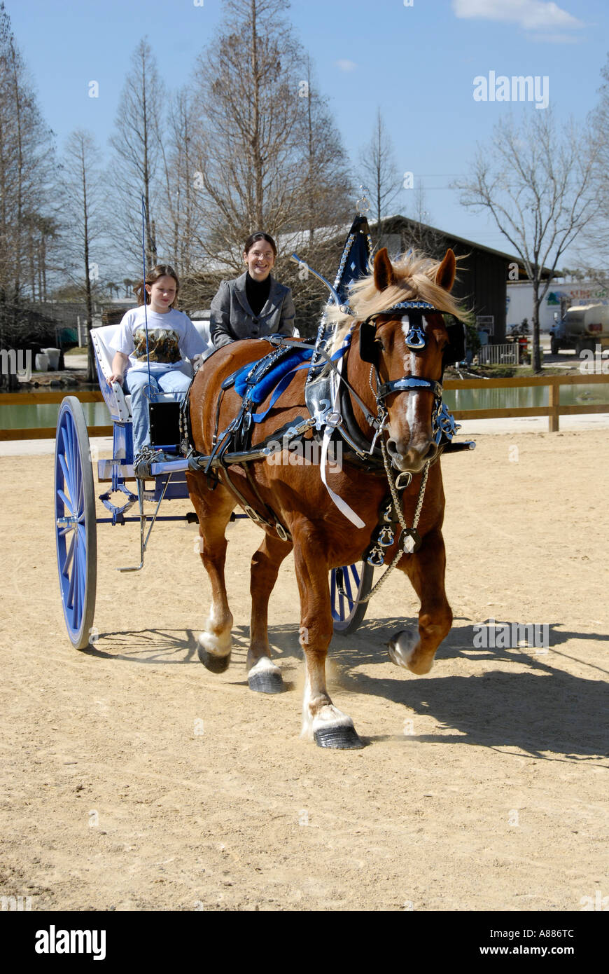 Horse pull train hires stock photography and images Alamy