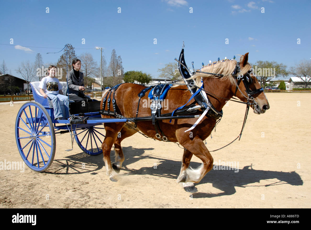 Horse pulling wagon hires stock photography and images Alamy