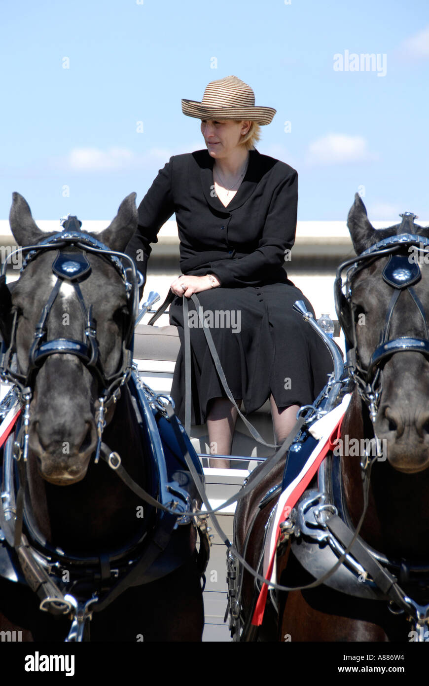 Draft Horse show features wagon pulling competition in equestrian
