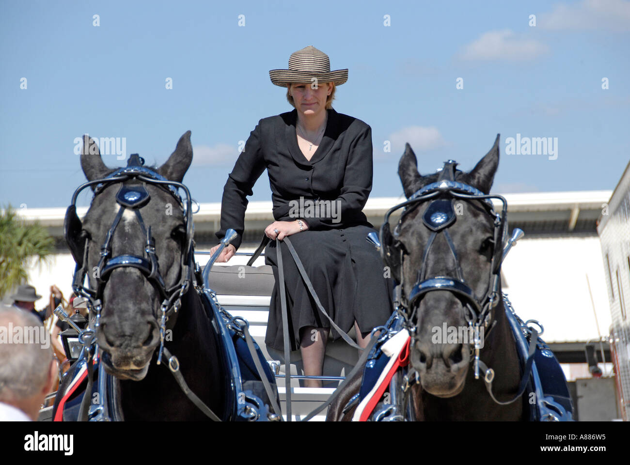 Draft Horse show features wagon pulling competition in equestrian