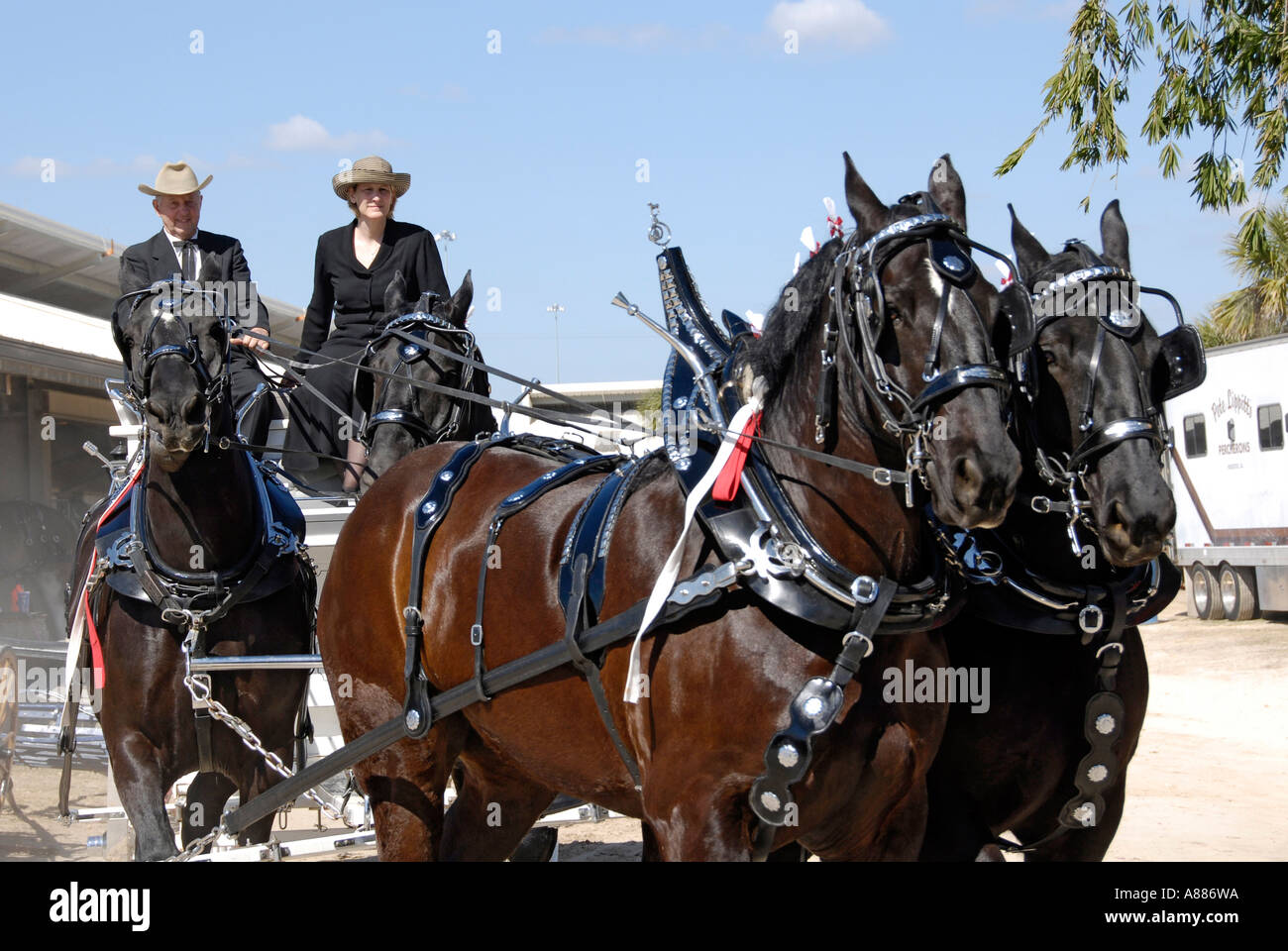 Draft Horse show features wagon pulling competition in equestrian