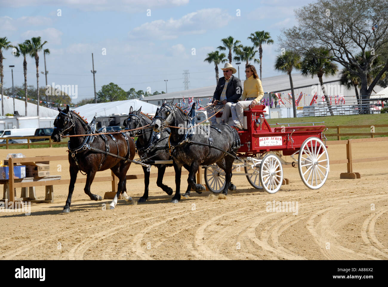 Draft Horse show features wagon pulling competition in equestrian
