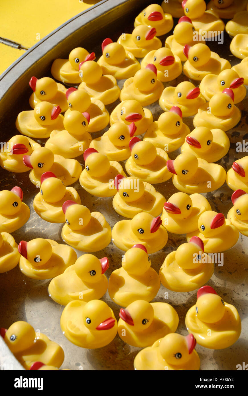 Tiny ducks hi-res stock photography and images - Alamy