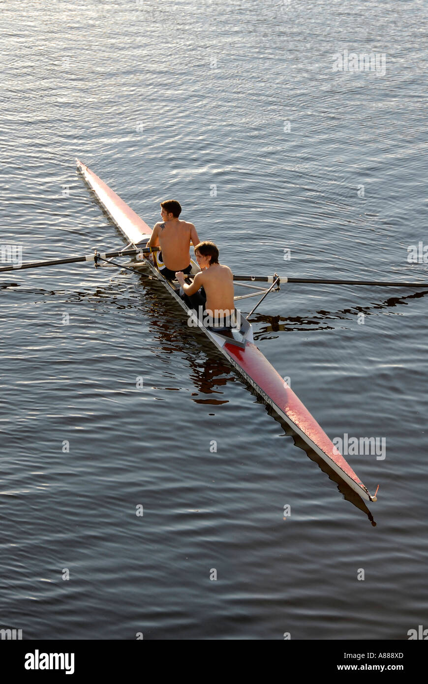 Sculling on Tampa Bay at Tampa Bay Florida University of South Florida in Tampa Stock Photo