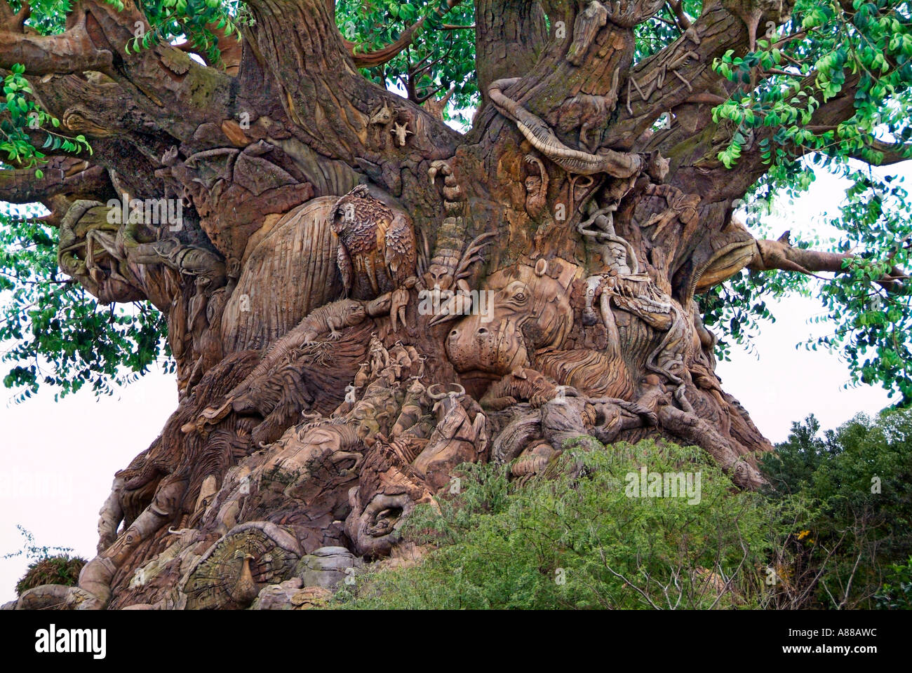 The Tree of Life (El árbol de la Vida) - SiDisney