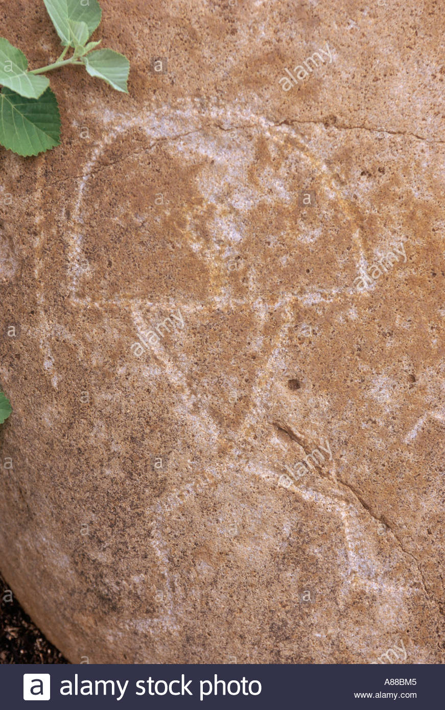 Hawaiian Petroglyph High Resolution Stock Photography and Images Alamy