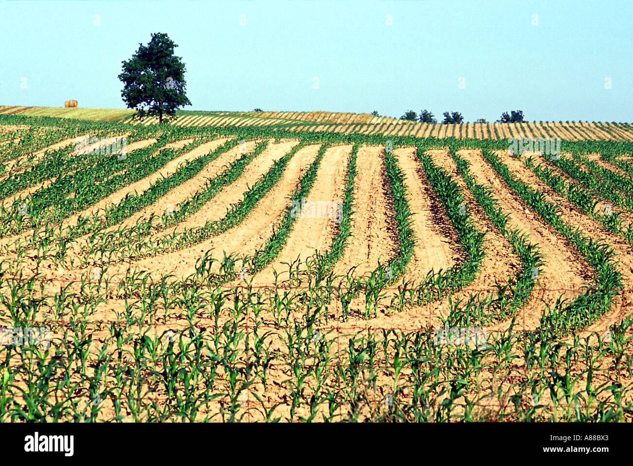 Short Crop Rows Crop rows pattern hi-res stock photography and images - Alamy
