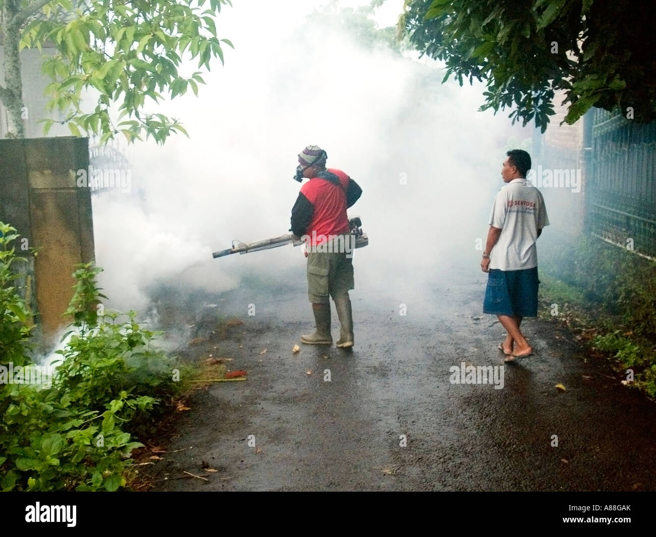 Fogging for mosquitoes hires stock photography and images Alamy