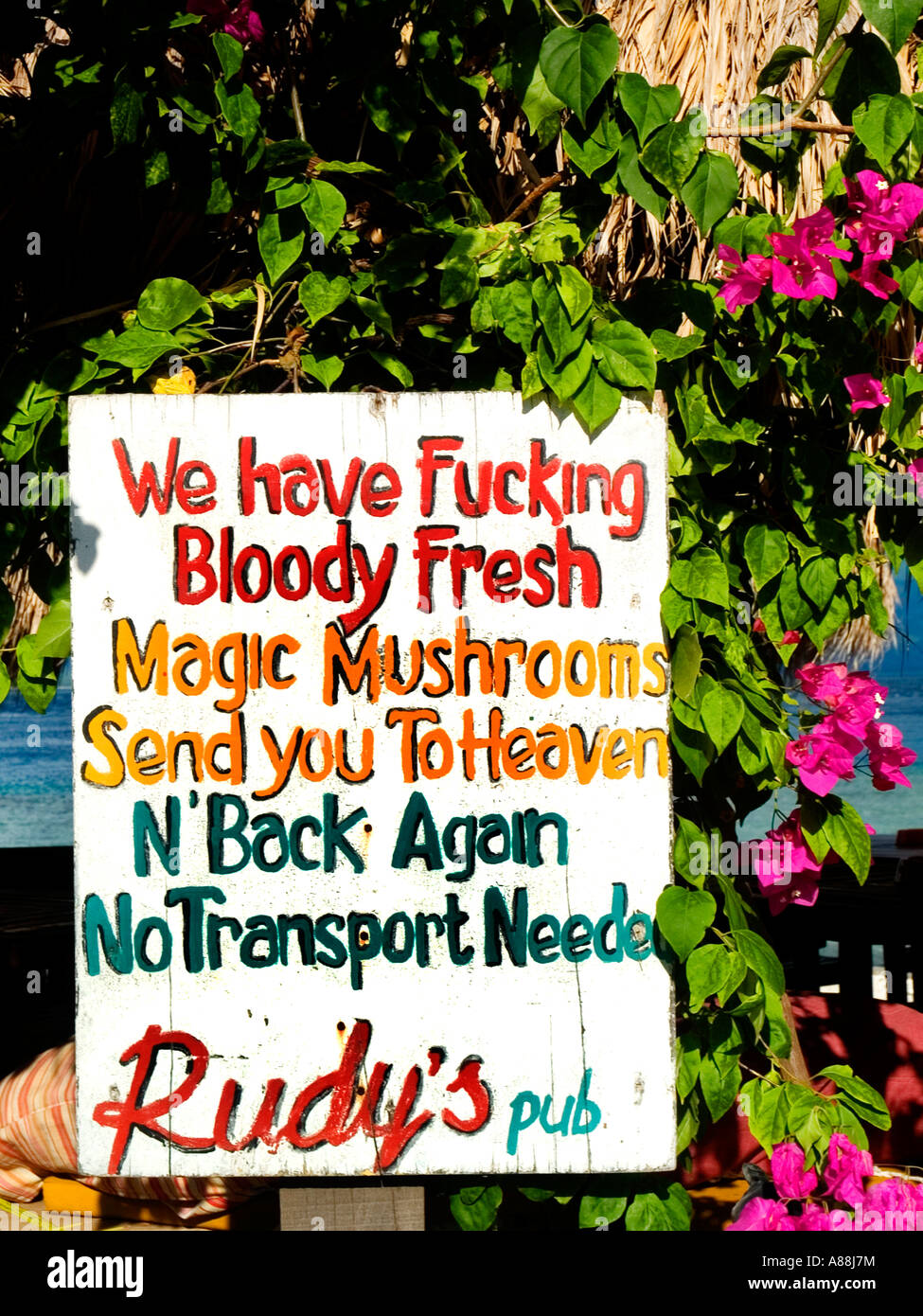 Hand painted sign outside of Rudy's pub advertising magic mushrooms for sale,Gili Trawangan,Indonesia. Stock Photo