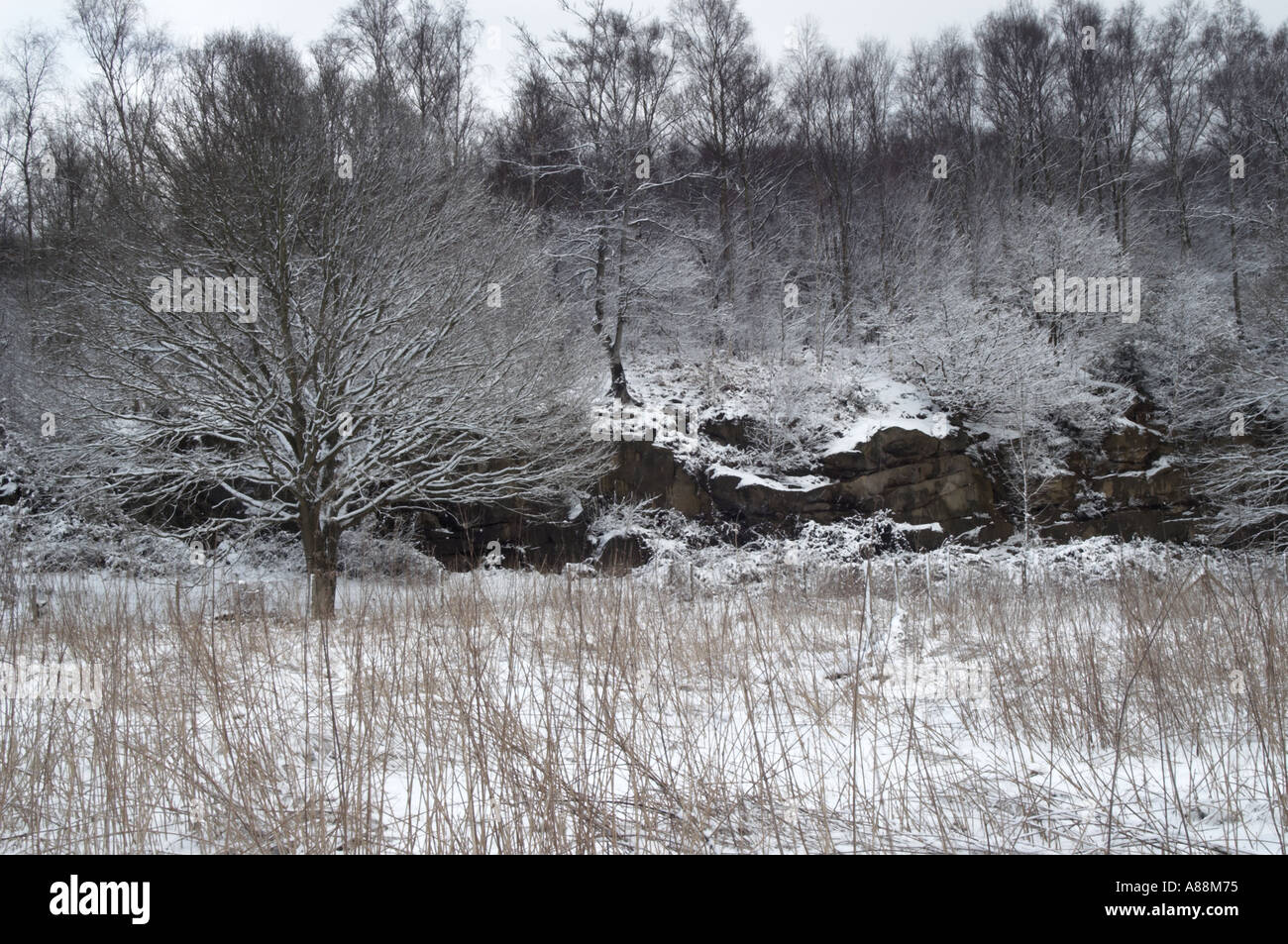 Groombridge Rocks Harrisons rocks hi-res stock photography and images - Alamy