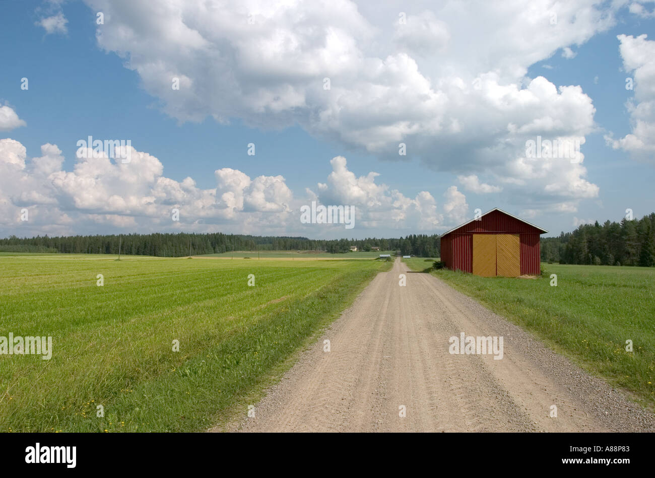 Scene from Finnish countryside. Empty country road going through