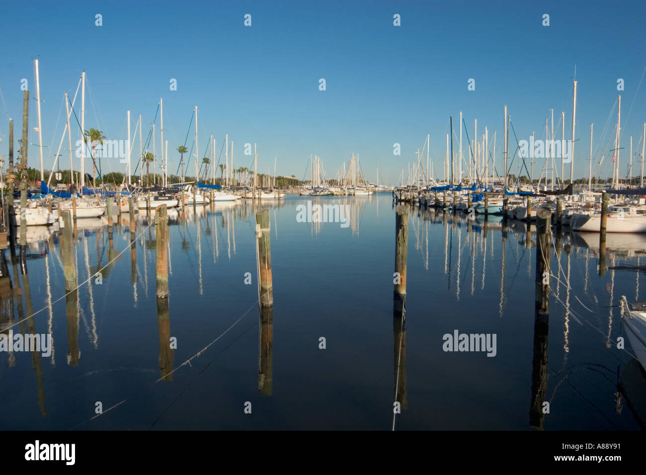 Harbor at St Petersburg Florida Stock Photo Alamy