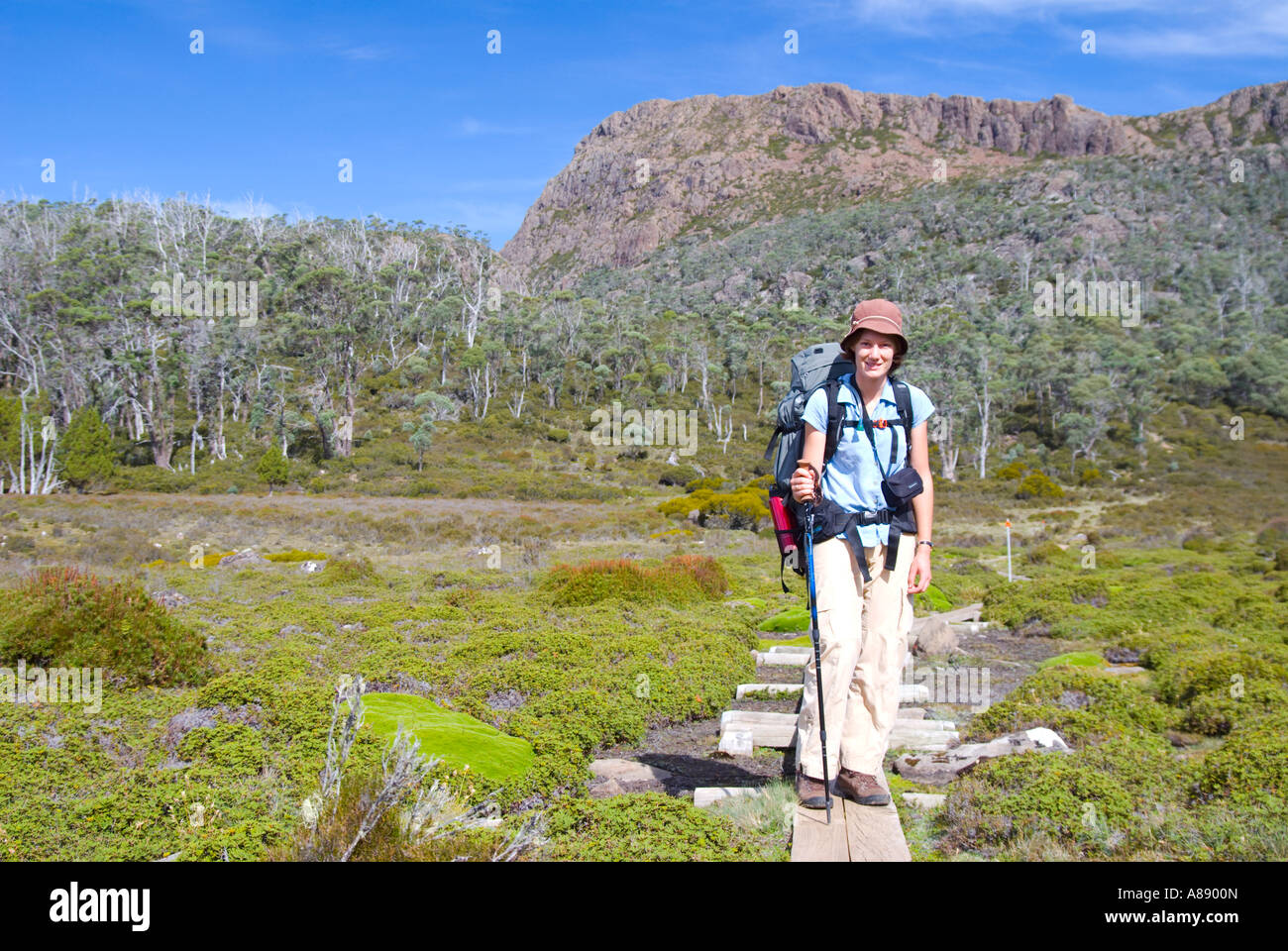 Female hiker on boardwalk in the Walls of Jerusalem National Park in Tasmania, Australia Stock Photo