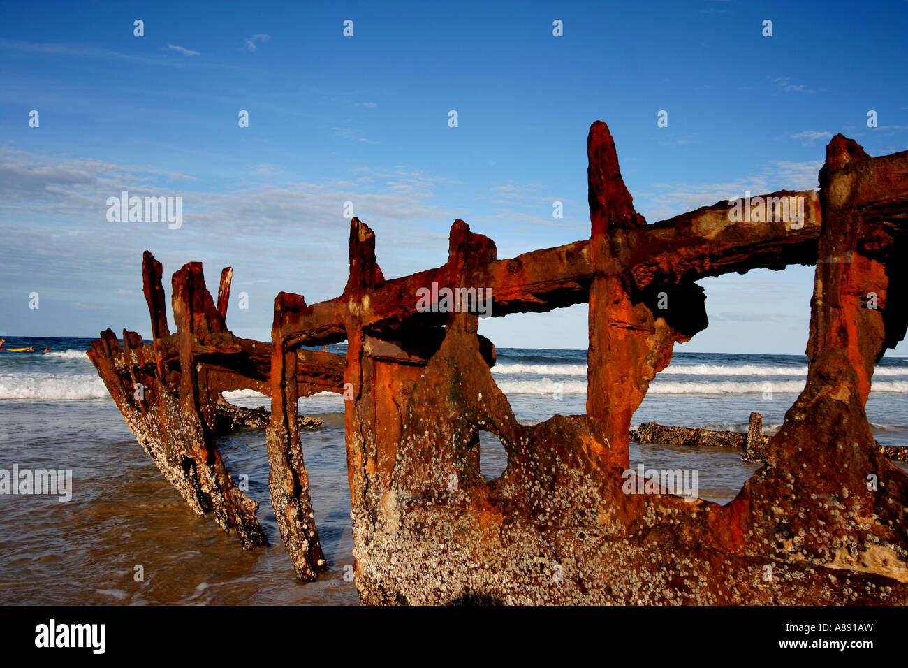 Wreck of the SS Dicky Sunshine Coast Queensland Australia BDa10658 ...